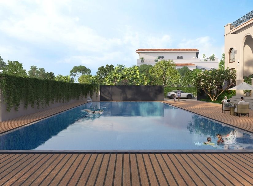 17683939251255878232